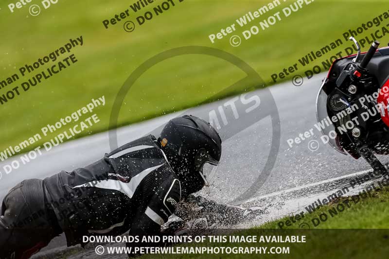 PJ Motorsport 2019;anglesey;brands hatch;cadwell park;croft;donington park;enduro digital images;event digital images;eventdigitalimages;mallory;no limits;oulton park;peter wileman photography;racing digital images;silverstone;snetterton;trackday digital images;trackday photos;vmcc banbury run;welsh 2 day enduro